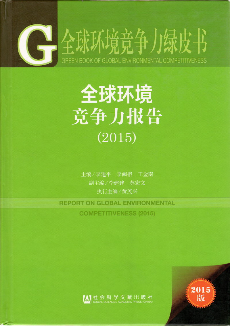 穿着黑丝被大鸡巴草逼全球环境竞争力报告（2017）